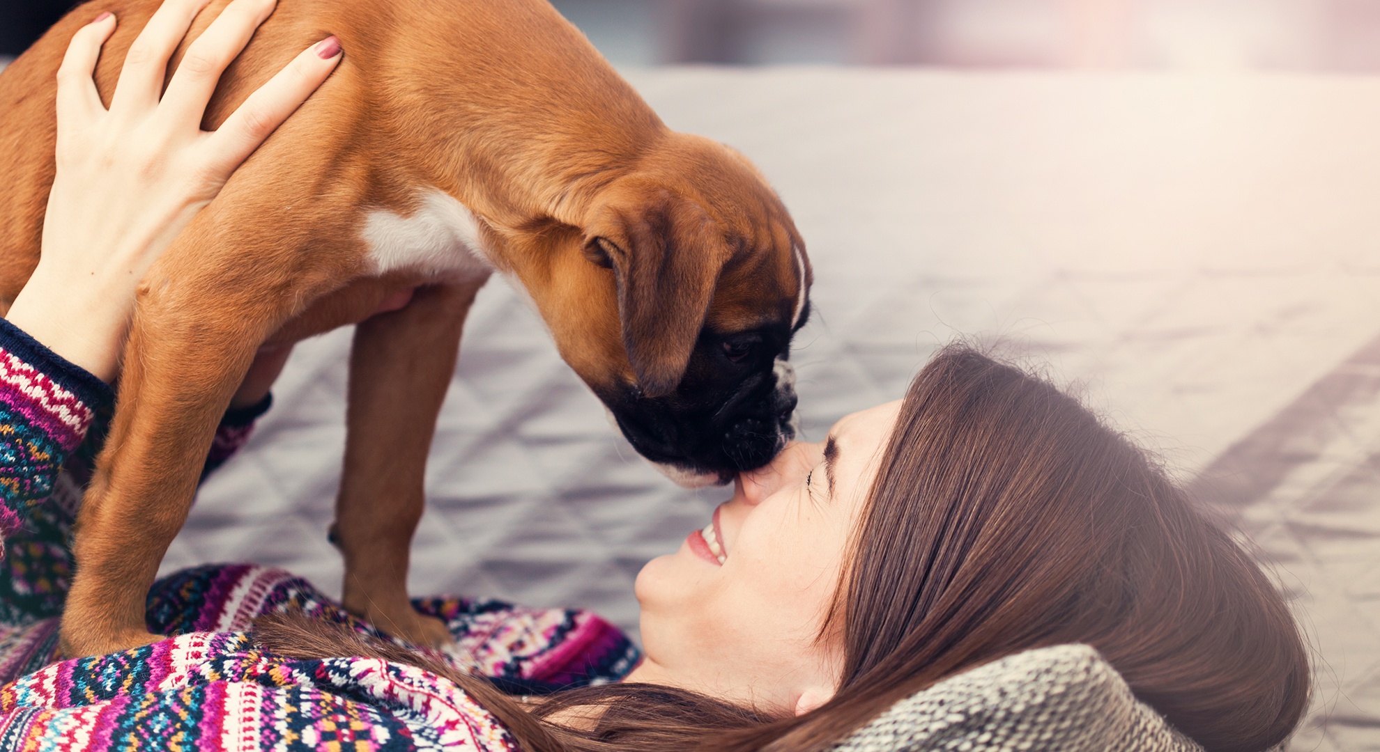 Tips to keep your new puppy safe and your home and sanity intact