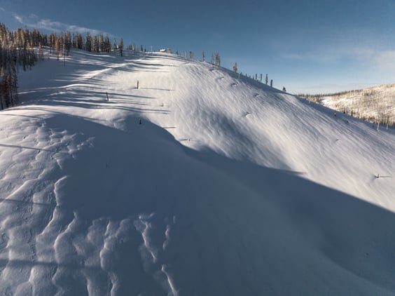 20230306_BrianWalker_00597-1