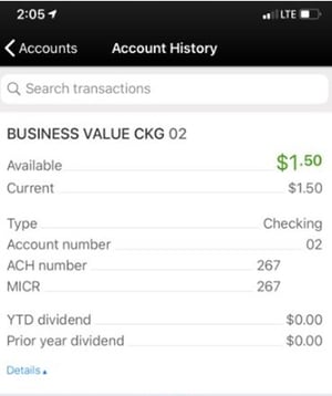 SAFE Credit Union Mobile App account details