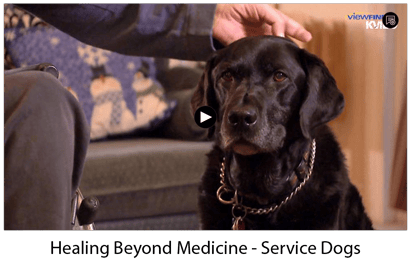 Healing Beyond Medicine - Service Dogs