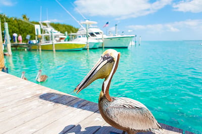 Islamorada